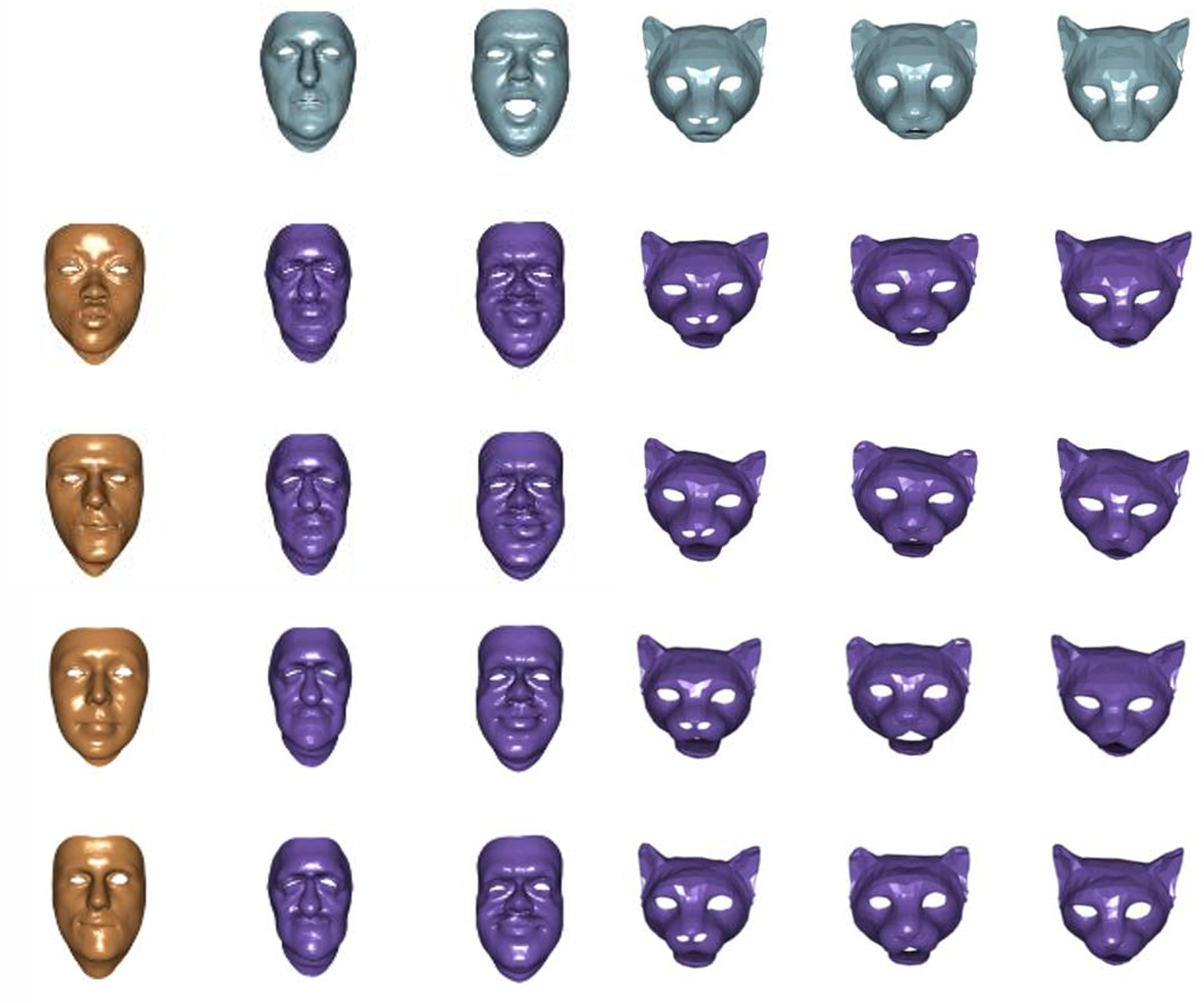 Human and feline expression transfer grid