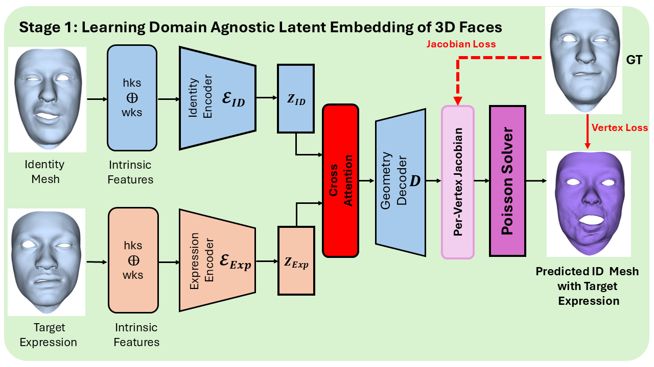 Training: Learning Domain Agnostic Latent Embedding of 3D Faces
